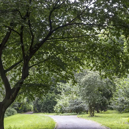 Big Mama ホテル ベルリン